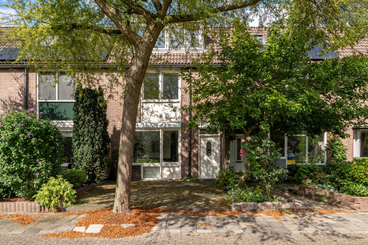 Panfluit 27 , ROTTERDAM